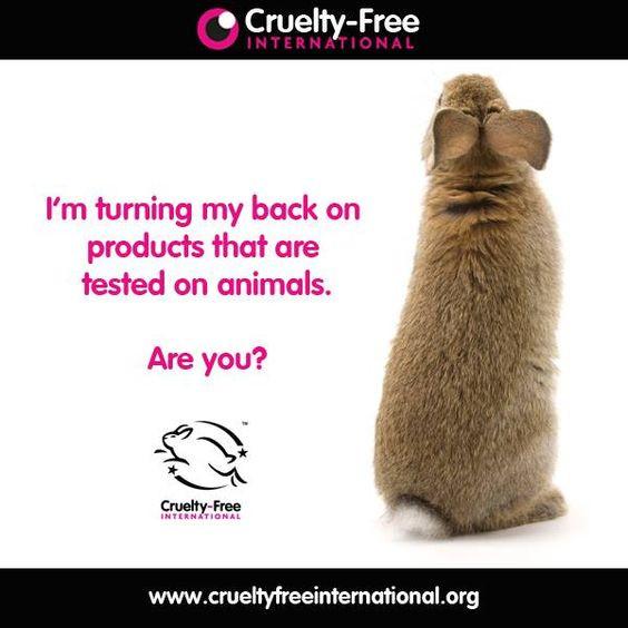 3+ Reasons Why You Should Choose Cruelty Free Makeup? 1