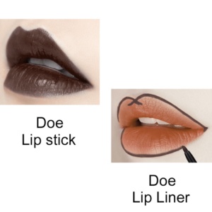 Liquid Lipstick and lip liner sets 1