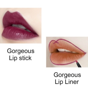 liquid lipstick and lip liner